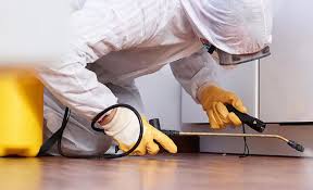 Best Residential Pest Control  in New York, NY